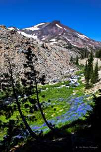 South Sister-5965.jpg